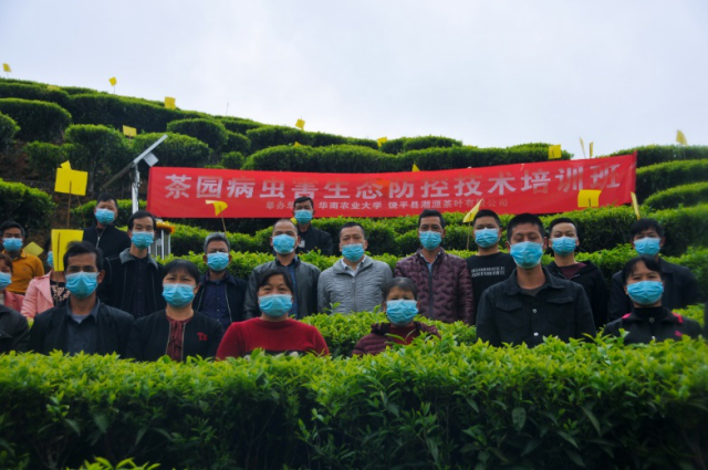 华南农业大学农村科技特派员刘少群团队开展田间上大课、家乡援春耕。