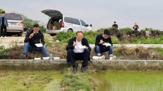 为节省时间指导春耕，罗锡文院士与团队成员在田头席地而坐用餐。