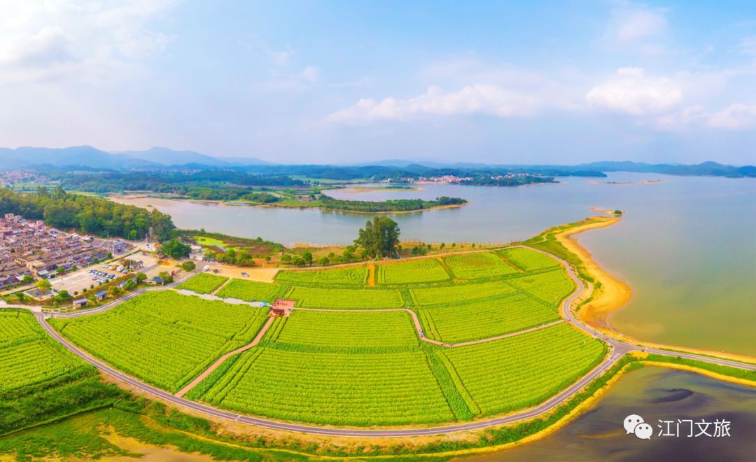 大沙镇,有着得天独厚的生态环境,是广东省美丽乡村特色村,开平市乡村