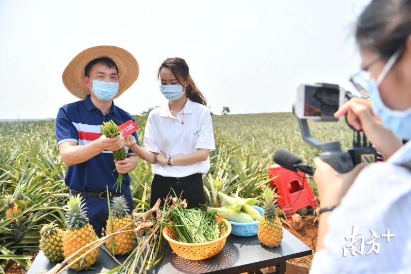 顺德区驻徐闻县扶贫工作组组长廖耀强介绍称，韭菜、香蕉、玉米、茄瓜、辣椒等产品，都是徐闻特色农产品。
