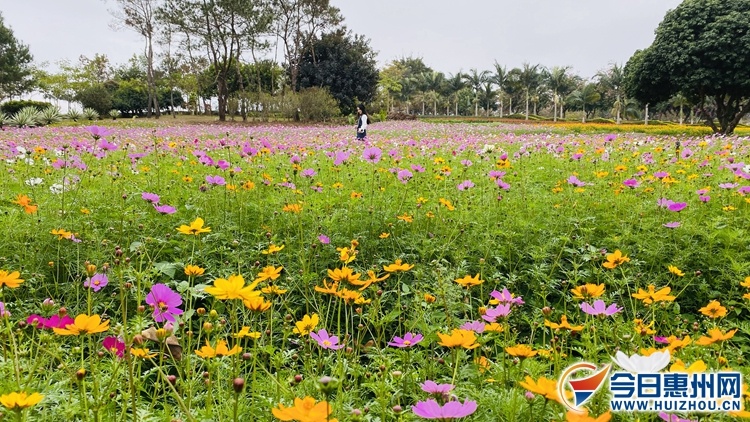 永记生态园。 永记生态园供图