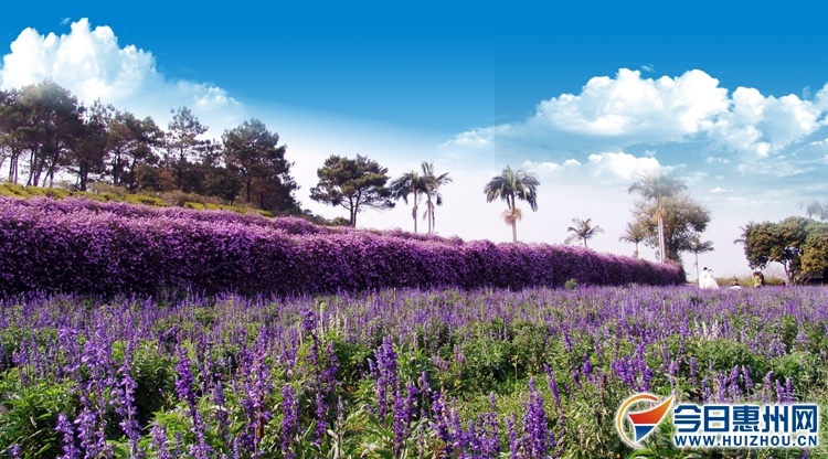 永记生态园供图