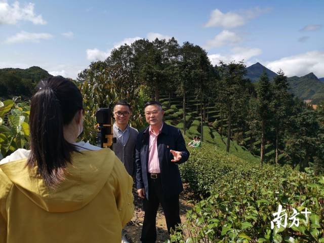 品千年韵味韶关仁化云端采茶忙