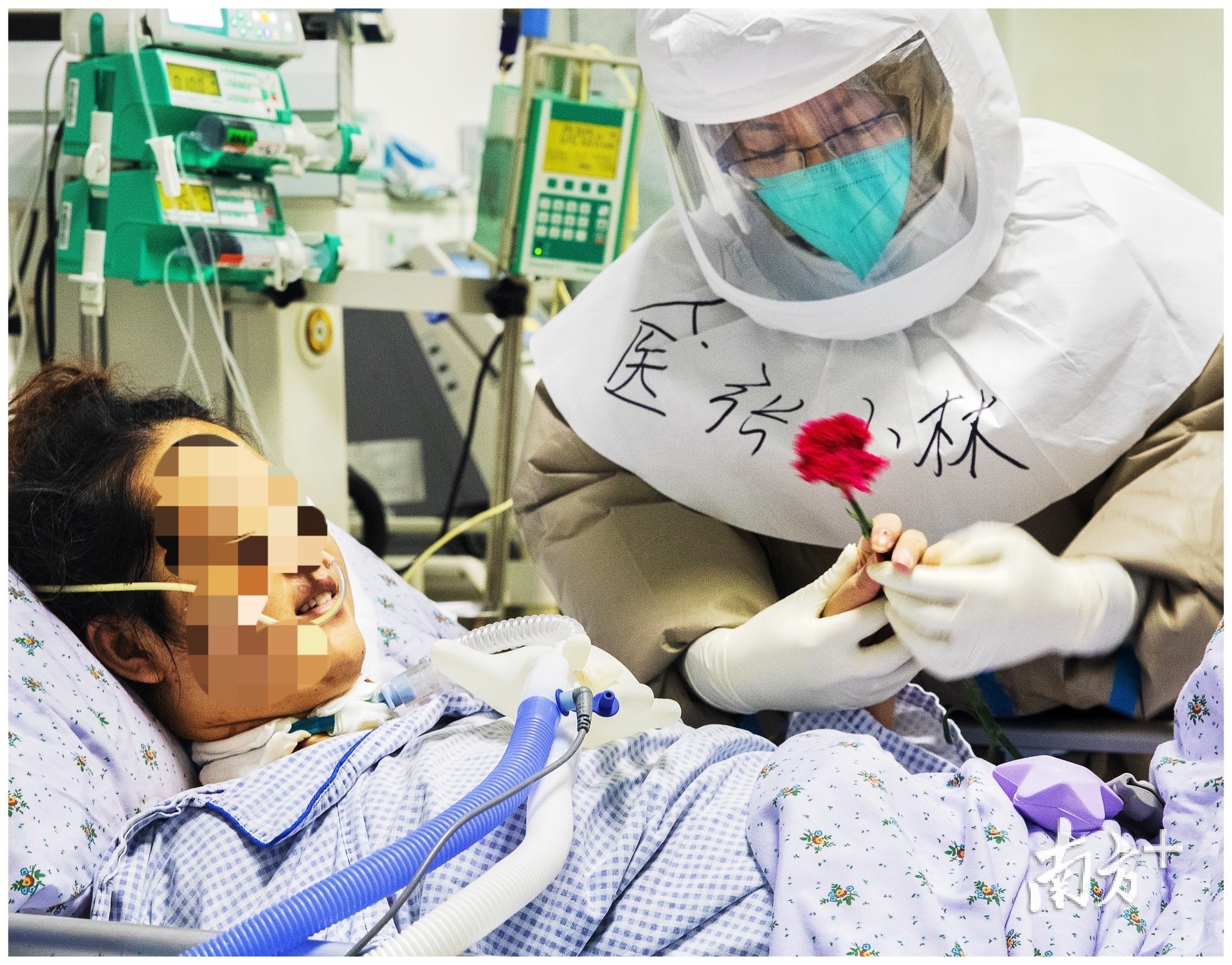3月8日妇女节，护士张小林给彭女士递上一支康乃馨，收到花后的彭晓露出笑容。中山市人民医院 李晓群 摄
