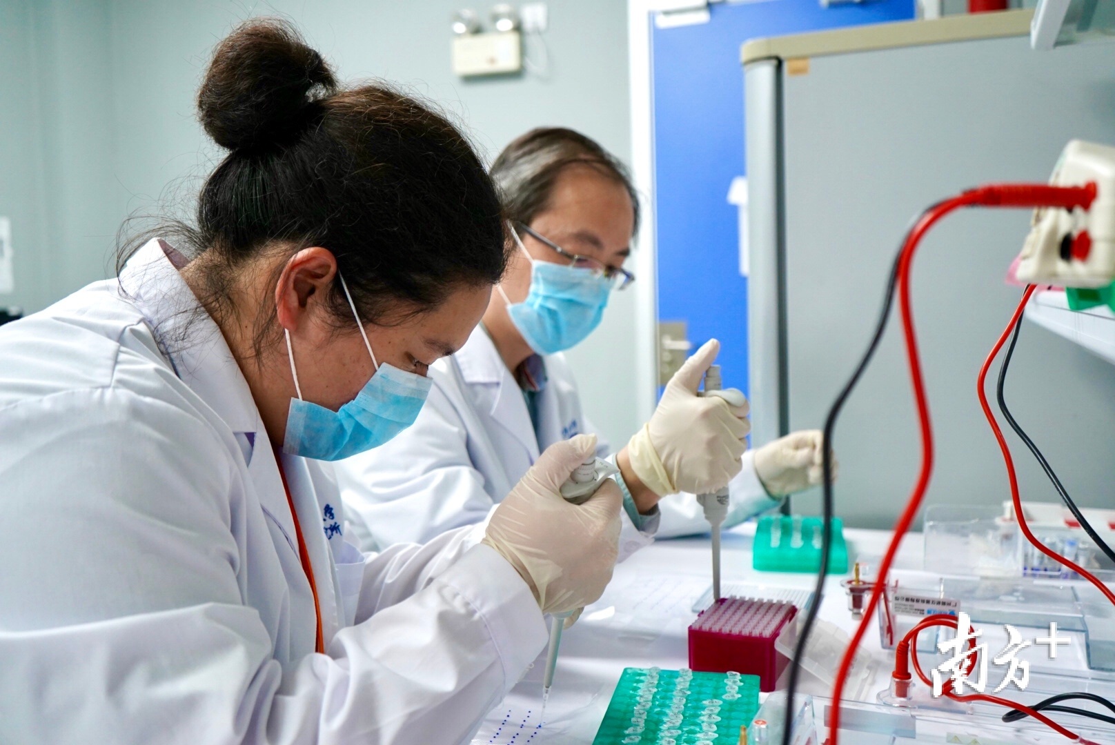 汕头大学·香港大学联合病毒学研究所科研人员对新冠病毒进行研究