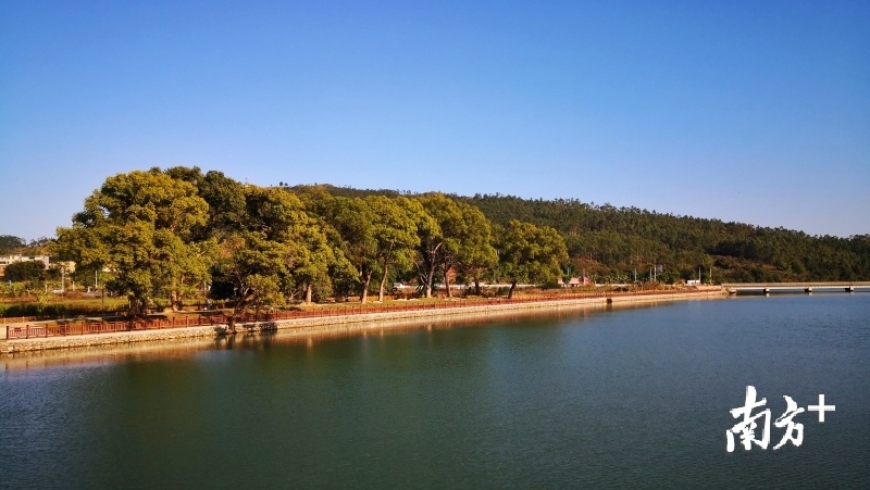 龙归镇南水河畔水清岸绿田园美景