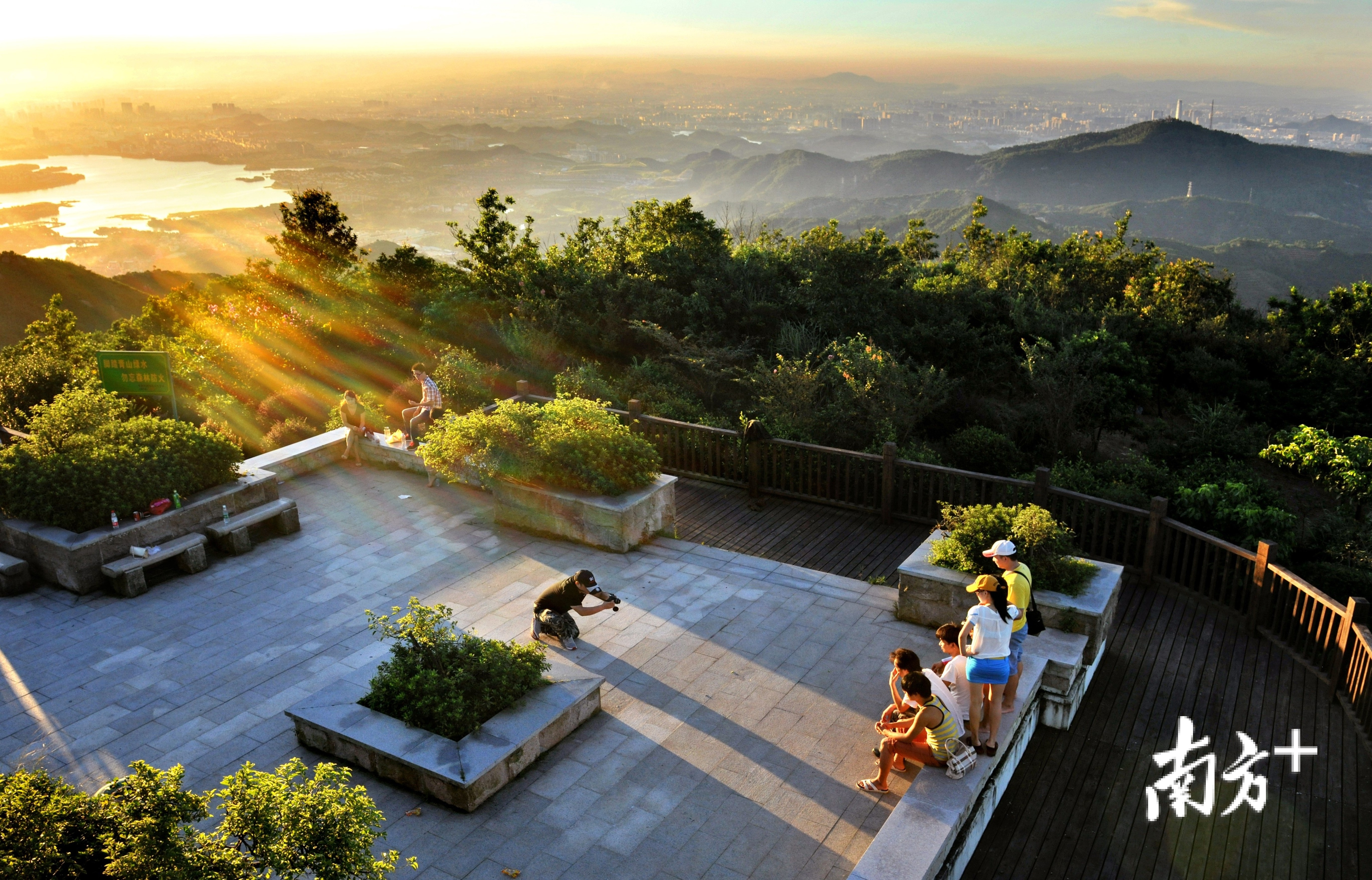 大岭山森林公园 大岭山森林公园
