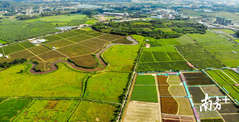 惠城区既是中心城区，又是农村大区。