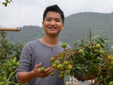 返乡创业，“荔枝大王”陈小敏又有新动作！