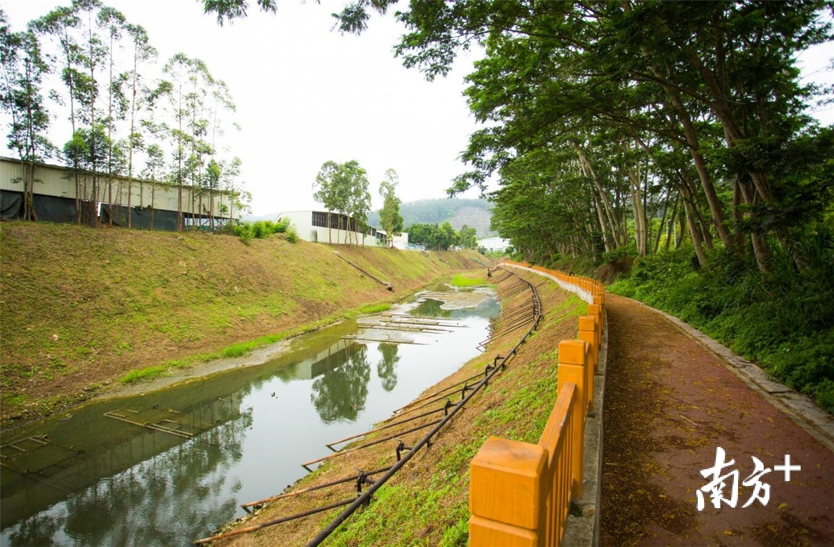 黄江部分河涌的"一河两岸"工程初见成效.图为整治后的南山排洪渠.