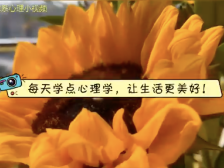 视频|东莞教师制作“小剧场”支招亲子关系改善