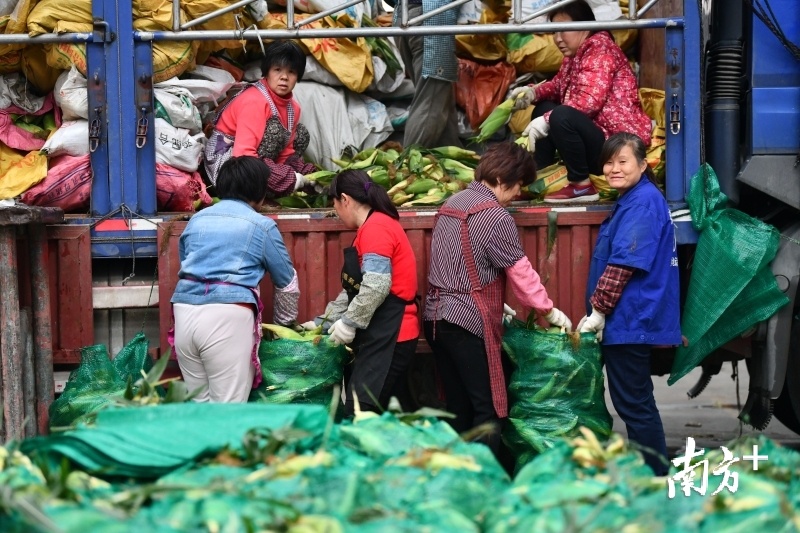 佛山首个一级蔬菜批发市场落户禅城打造珠西农产品交易枢纽
