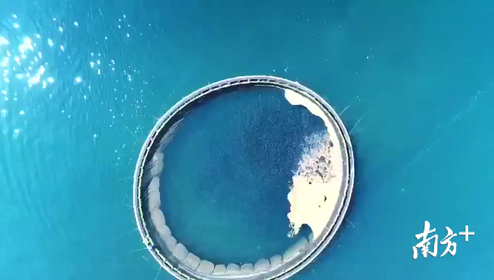 联塑集团的深海养殖现场。受访企业供图