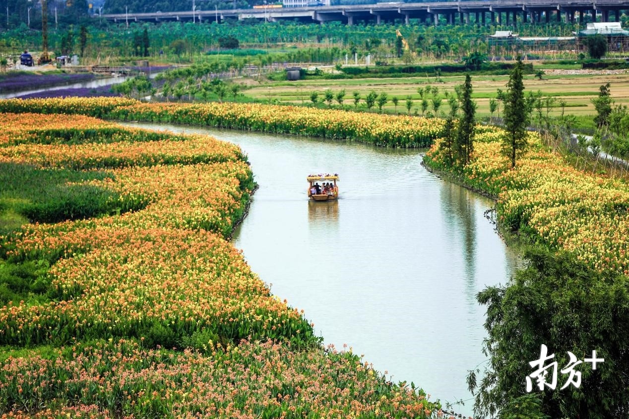 华阳湖湿地公园