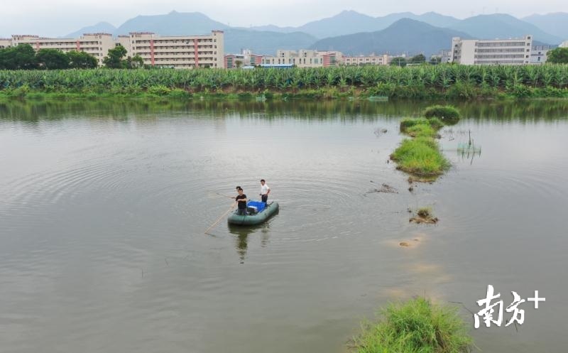 无人机巡河发现电捕鱼