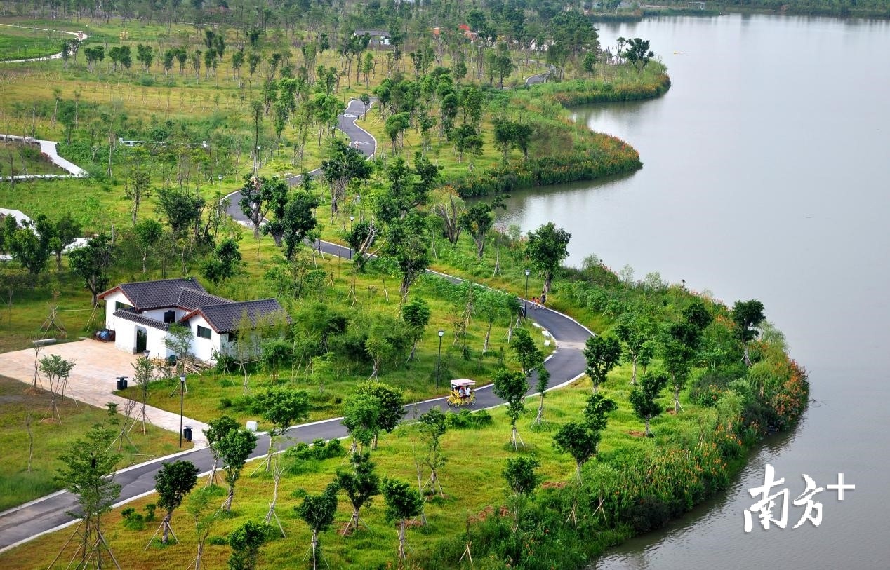 华阳湖湿地公园