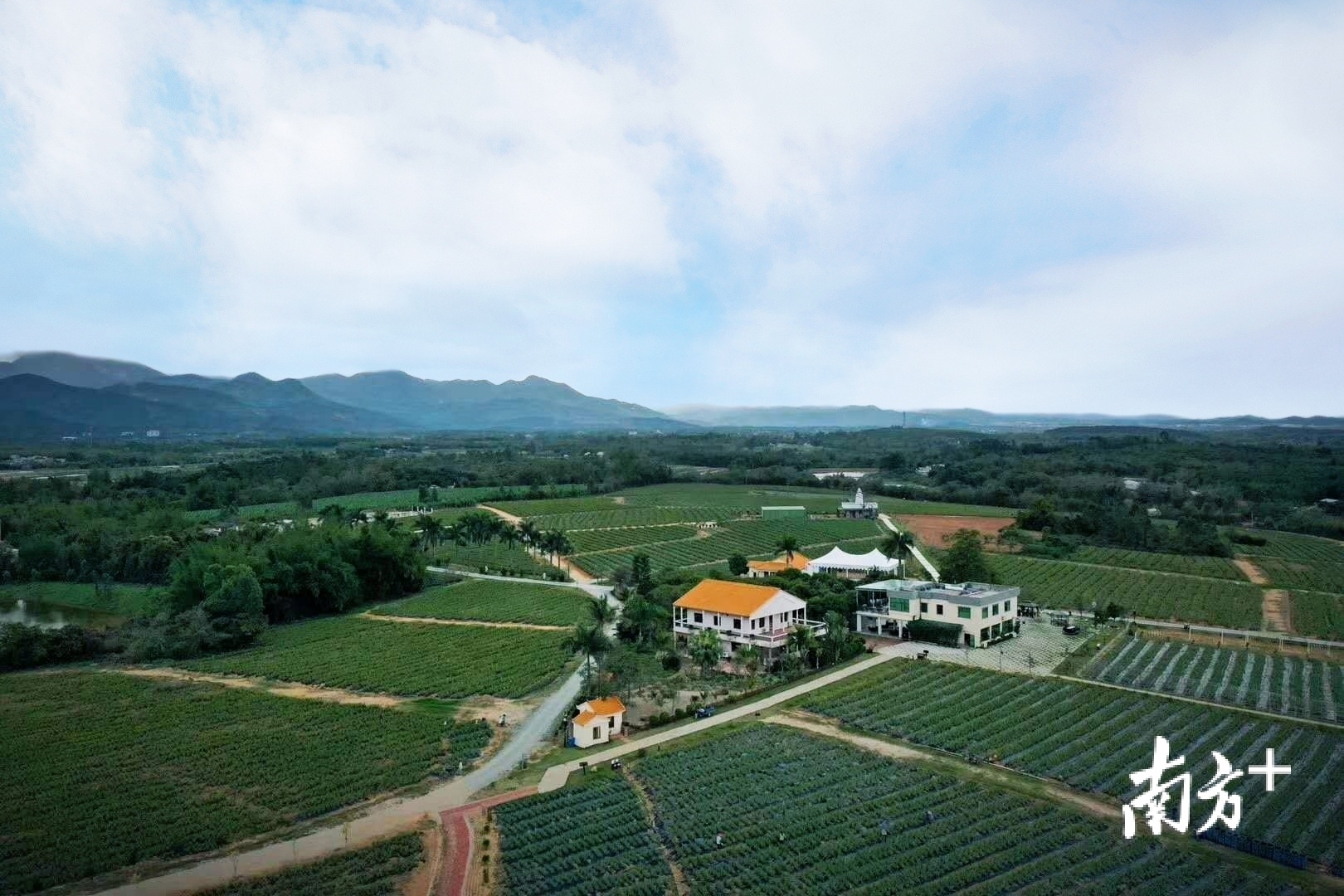 芦荟庄园规划发展为“三产融合”的典范。采访者供图 芦荟庄园规划发展为“三产融合”的典范。采访者供图