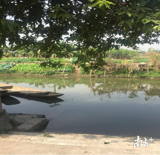 锦水河。罗敏贞供图