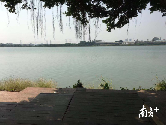 勒流水乡。何佩君供图