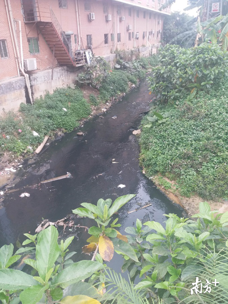 未整治的筷子河