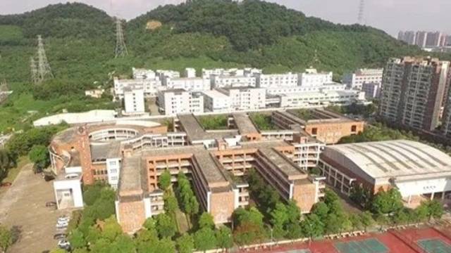 增加学位3735个！凤岗6所公办学校初步规划设计方案出炉