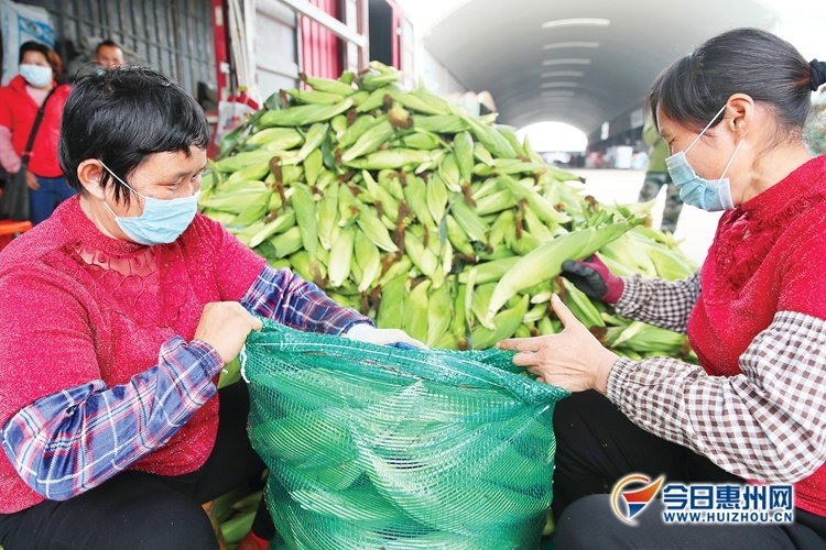 惠州农产品供应足,价格稳