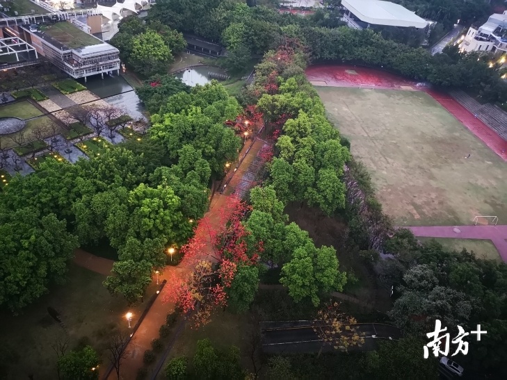 华侨城运动场俯瞰图