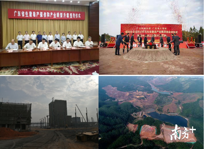 韶关市人民政府与海大集团、恒健控股公司、双胞胎集团生猪产业链项目签约仪式及一期项目开工仪式。