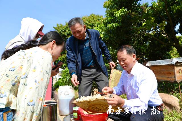 全省首位直播卖荔枝的副区长开播了：宝宝们，盘它！盘它！