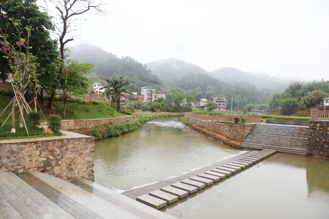 定点帮扶,让罗定这个村发生翻天覆地的变化