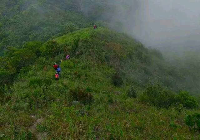 南方眼丨有偿救援能否有效减少山地遇险事件?