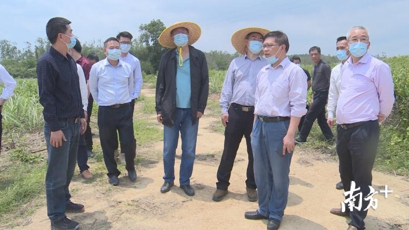 专家组一行在蒲牌村垦造水田项目选址现场进行实地考察。