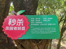 2020特殊年份荔枝季  广东主动布局迎大考