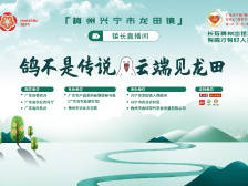 回顾|鸽不是传说 云端见龙田！镇长邀您共品兴宁鸽