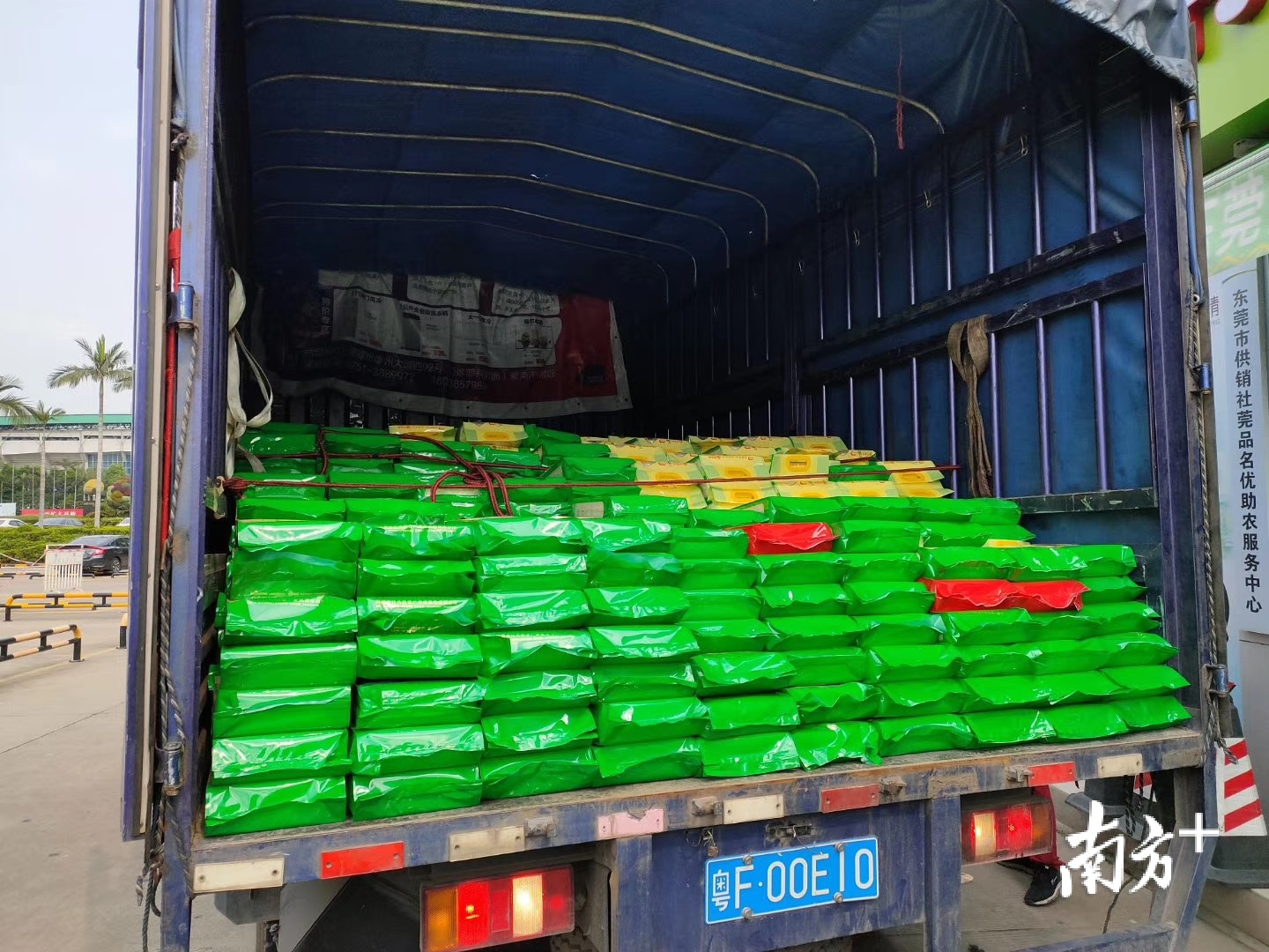 7吨扶贫大米来东莞啦,韶关南雄新米你值得拥有