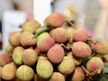 刚刚！茂名市副市长“变身”荔枝小哥实力直播“带货” ！