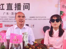 电白区区长到果园品摘荔枝，直播推介“美荔”电白！