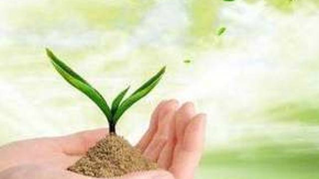 生命教育微课幼儿园课程