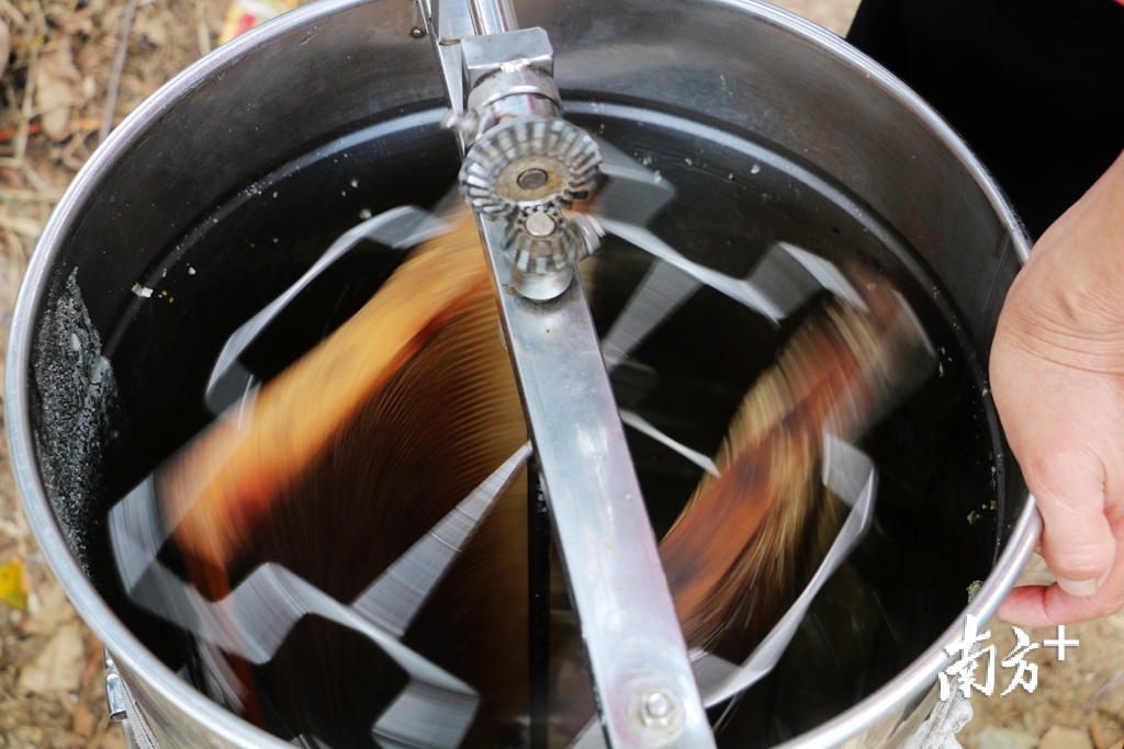 摇蜜对于蜂农来说是一件非常幸福的事情,因为它意味着收获.