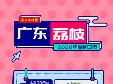 广东荔枝2020年尝鲜日历出炉！你想吃的都在这里