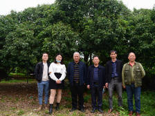 因为爱荔，所以用心！阳江荔枝人匠心出佳荔