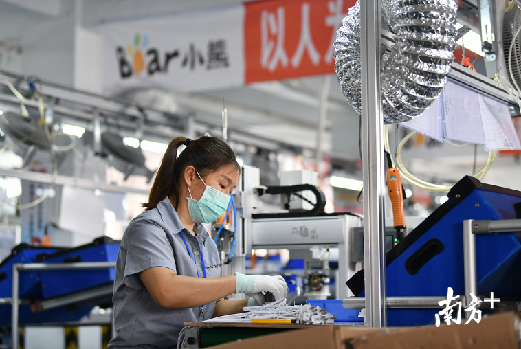 小熊电器多款产品销量上涨。南方日报记者 戴嘉信 摄