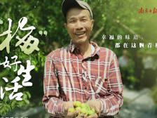 幸福的味道，都在这颗青梅里｜决战决胜脱贫攻坚