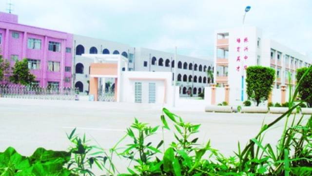 龙江叶霖佳小学