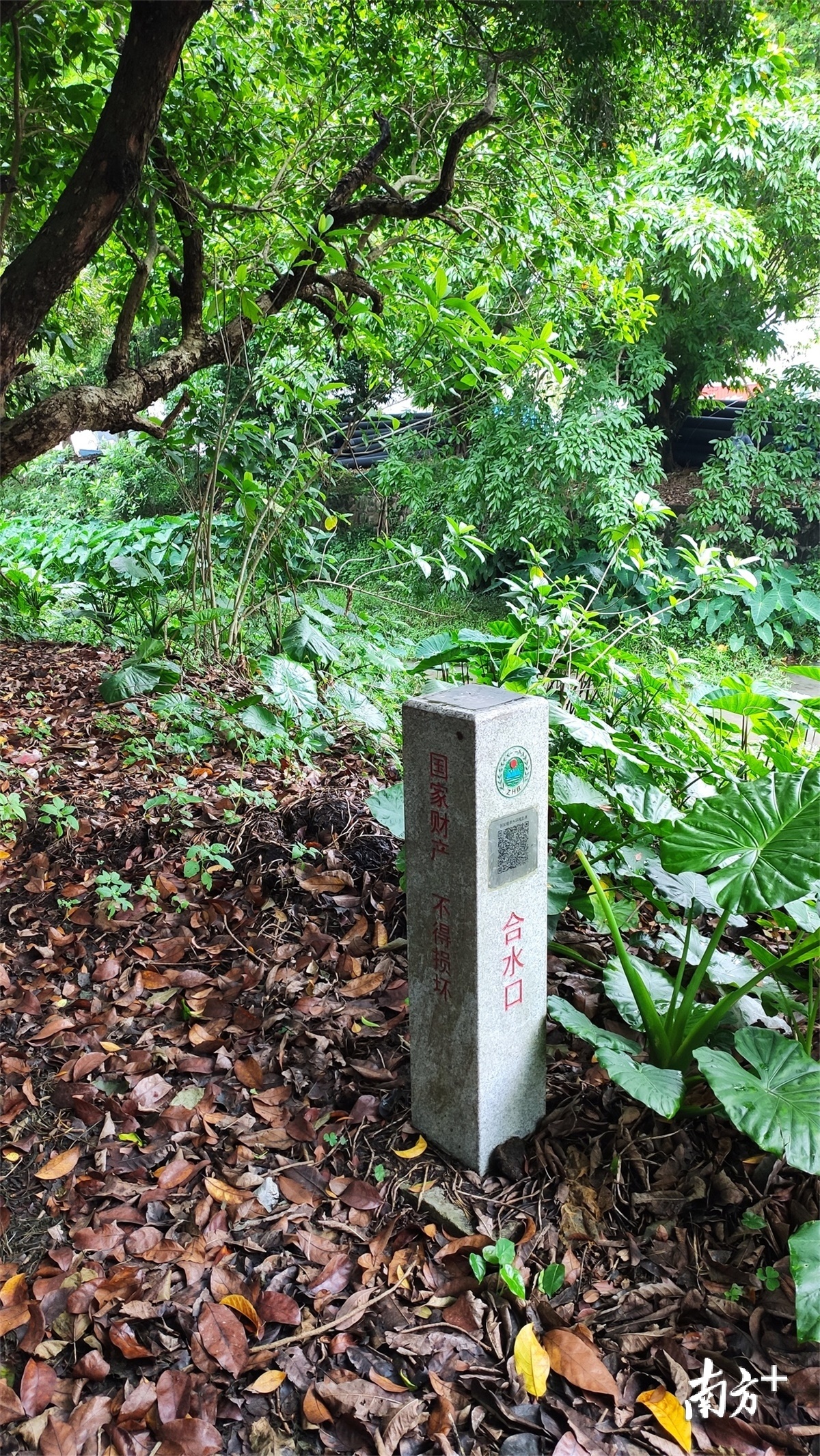 中山南朗水库