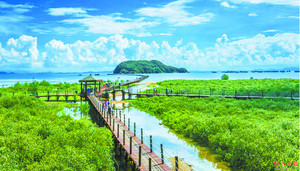 海陵岛红树林国家湿地公园。市林业局 供图