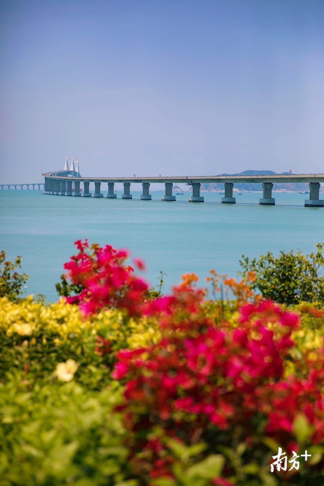 4月中旬,南澳岛环岛公路两旁花开正艳,花色与远处的南澳大桥相得益彰。 4月中旬,南澳岛环岛公路两旁花开正艳,花色与远处的南澳大桥相得益彰。
