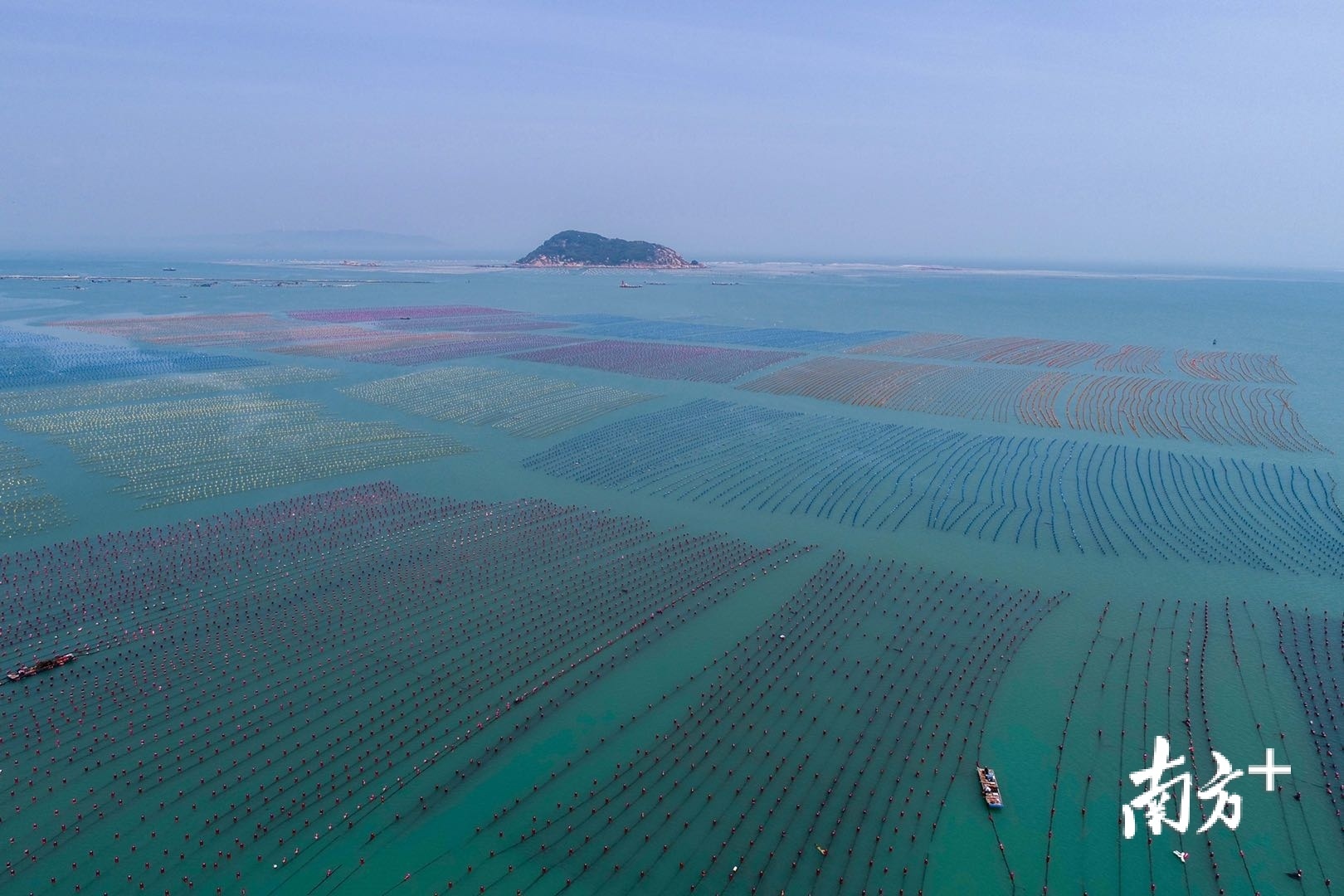 春天你好这地方开门就是茶山大海快来品茶吃蚝