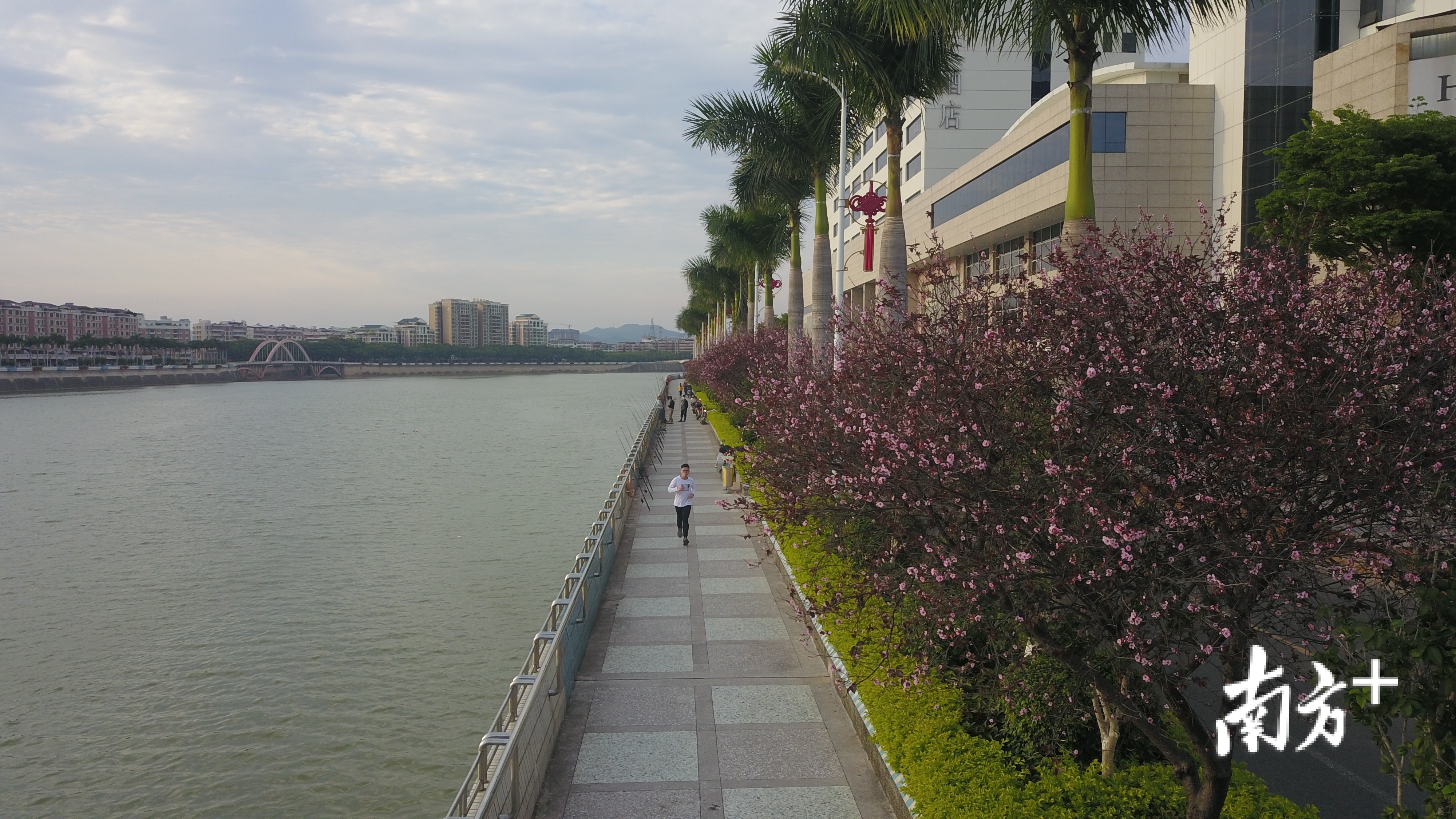 四月中旬,鲜花盛开,市民们慢步梅江河畔,感受宜人风景。 四月中旬,鲜花盛开,市民们慢步梅江河畔,感受宜人风景。