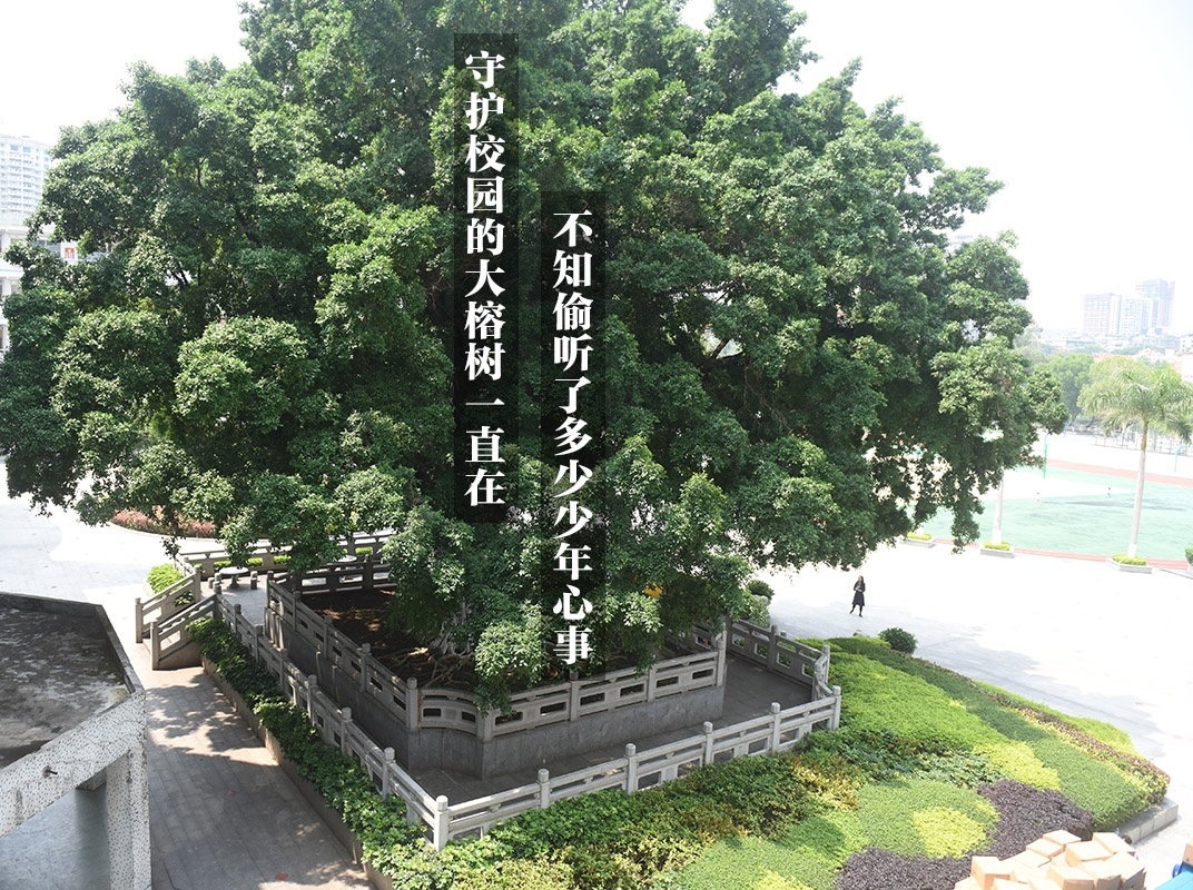 惠州一中老校园